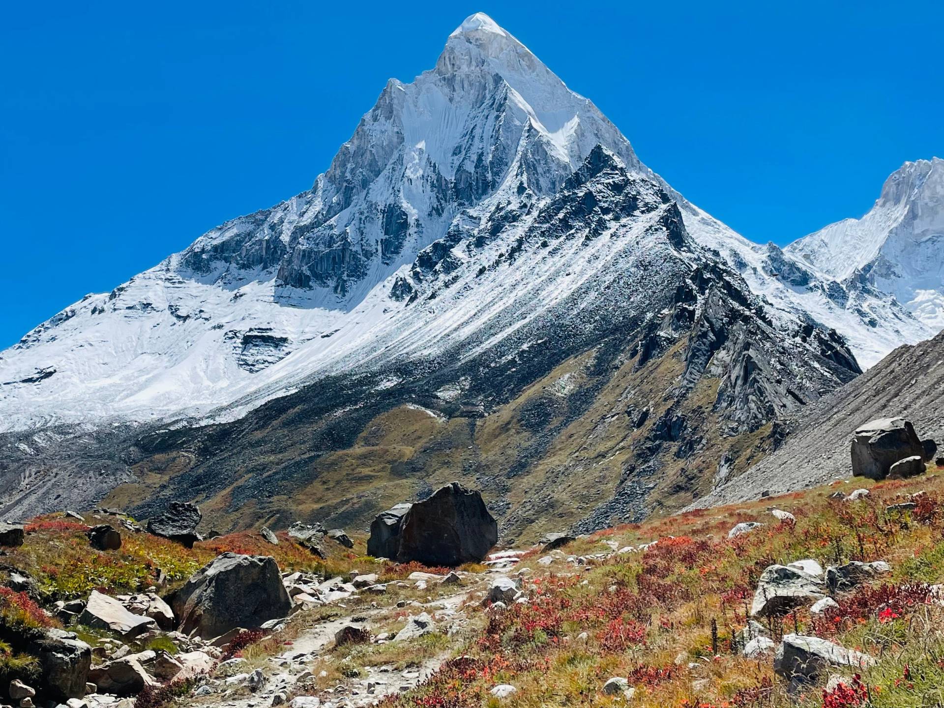 Mt. Shivling